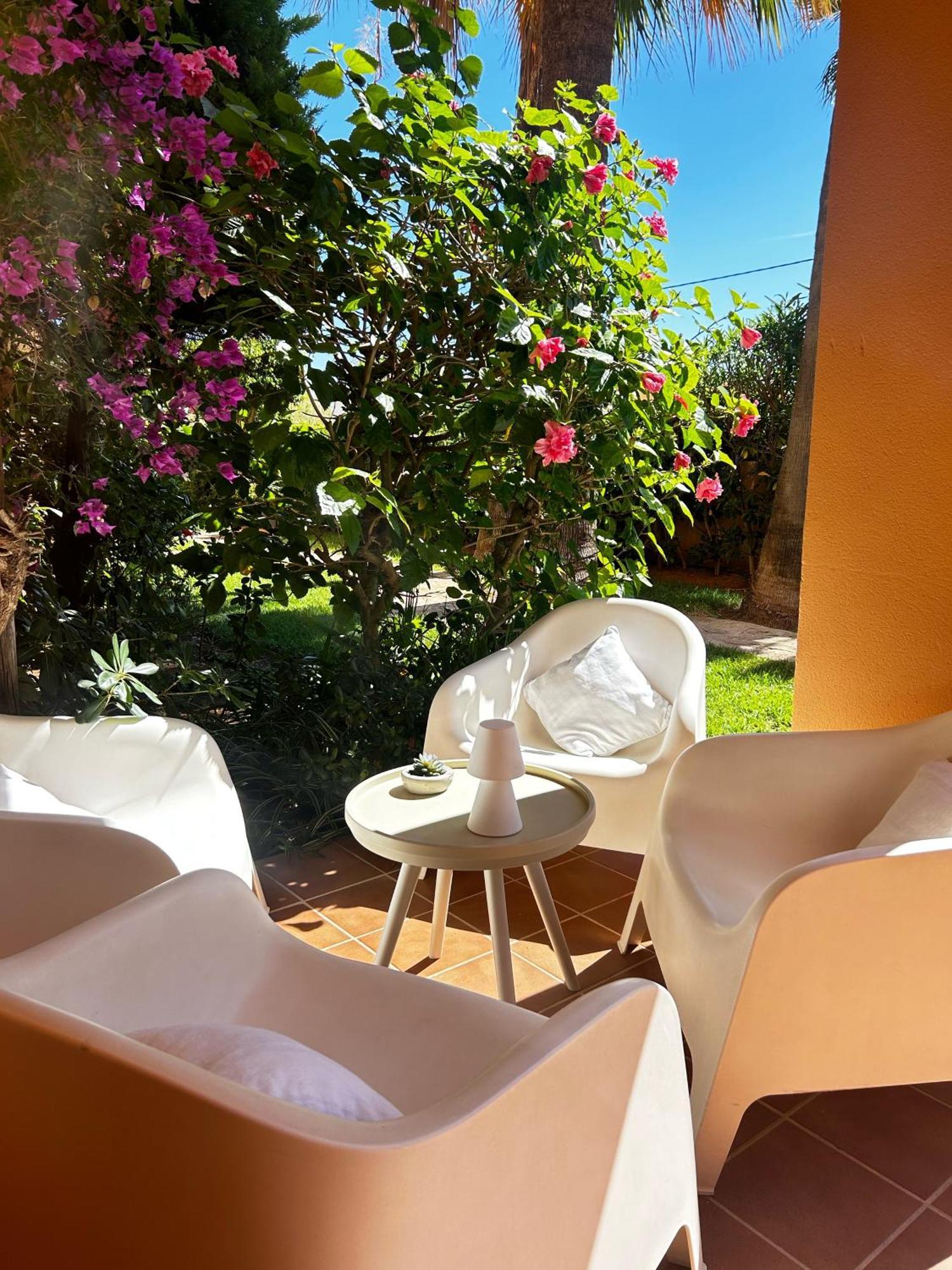Apartamento Palm Beach דניה מראה חיצוני תמונה