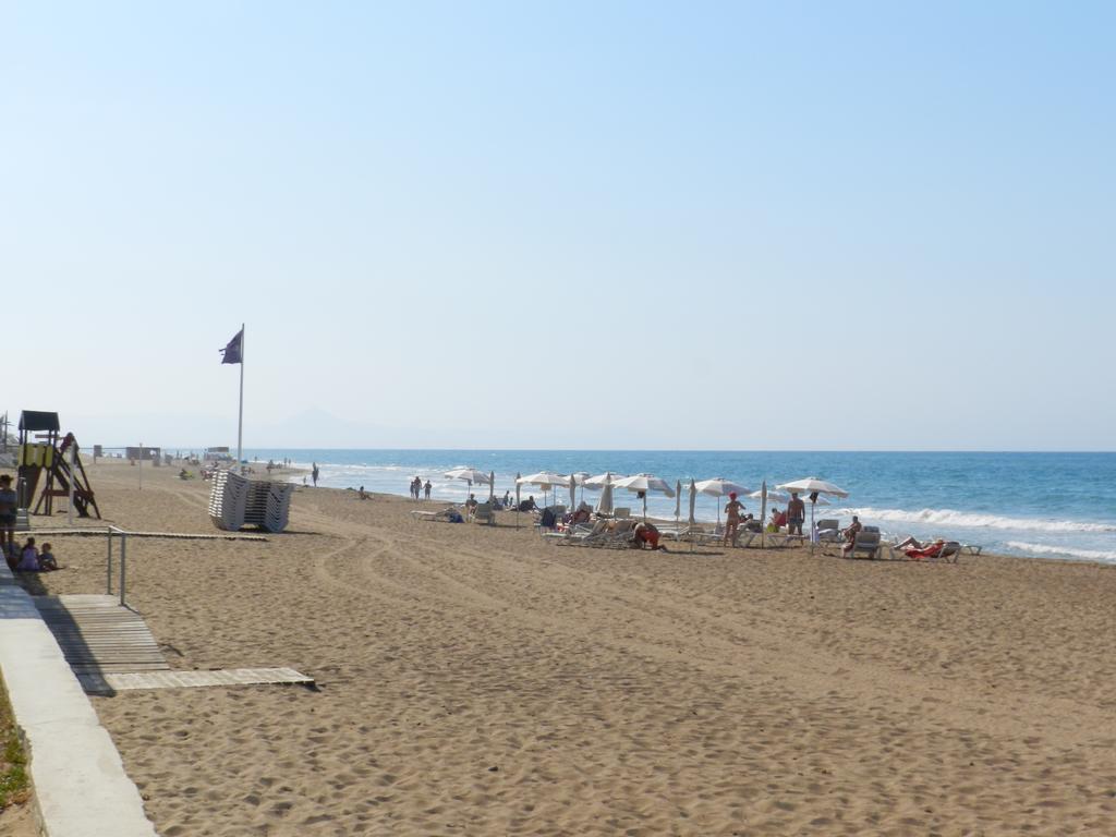 Apartamento Palm Beach דניה מראה חיצוני תמונה