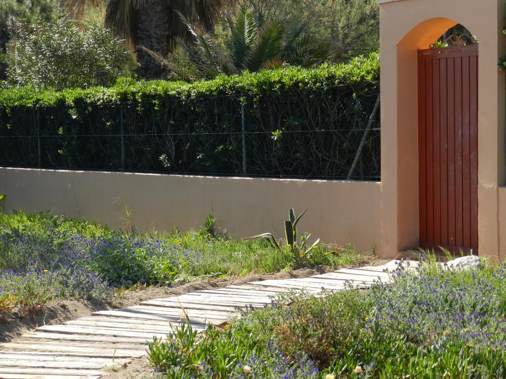 Apartamento Palm Beach דניה מראה חיצוני תמונה